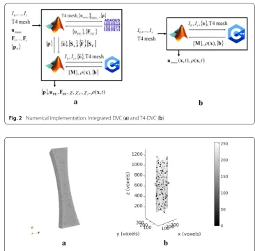 Fig. 2 Numerical implementation. Integrated DVC (a) and T4-DVC (b)