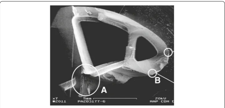 Fig. 2 Example of complex specimen for bending experiments on a turbine blade. Additional slots havebeen machined on a turbine blade in order to amplify the stress concentration factor around the grainboundary involved in the blade