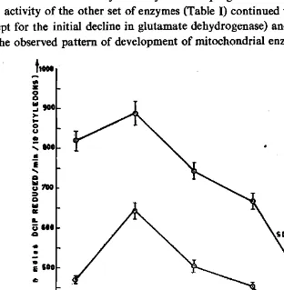 Fig. 1. TiffiC-l;Ourse of changes in the activities of mitochondrial succinate dehydrogenase and lD<llate dehydrogenase ID the cotyledon!! of horse scam durinS sermination 