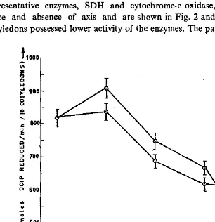 Fig. 2. Effect of axis excision on mitO<?hondri~1 succi~ate dehydrogen~ activity in the cotyledoQs Qf horse f'~ ..
