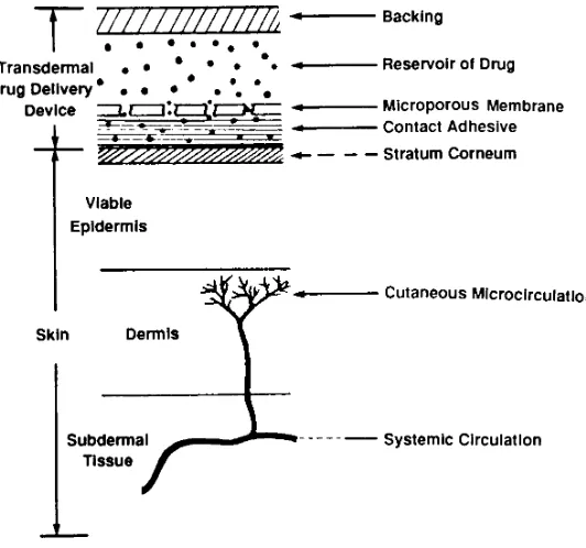 Fig 1. Schema of a transdermal drug delivery system.Transdermal drug delivery systems involve a backing toprotect the patch from the environment, a drug reser-voir, a porous membrane that limits the rate of drugtransfer, and an adhesive to secure the patch