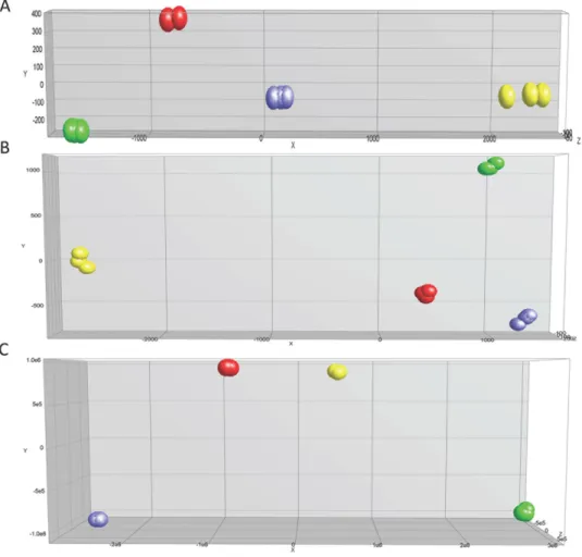 Figure 3: Principal component analysis for expression profile arrays, in-vitro,  in-vivo 5 and 12 weeks