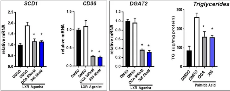 Figure 2. EDP-305 regulates triglyceride metabolism in vitro. Effects of EDP-305 (50 nM) or OCA (500 nM), at concentrations near their respective EC50, on mRNA levels of SCD1 (A), CD36 (B), and DGAT2 (C) in Huh7.5 cells