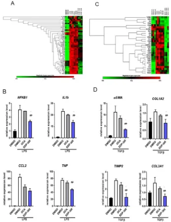 Figure 4. EDP-305 regulates expression of inflammatory response and fibrosis genes. A