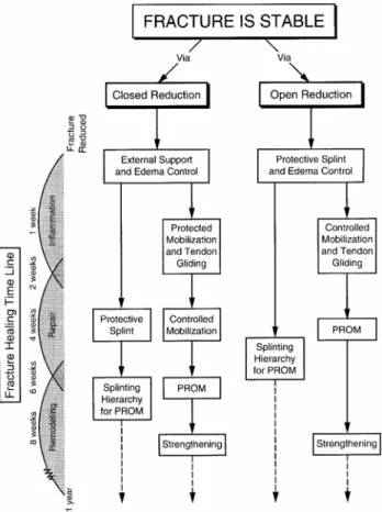 FIGURE 1. Fracture stability achieved with closed reduction meth- meth-ods (cast, splint, brace, external fixator) or with coaptive forms of fixation (pins, K-wires, intramedullary rods) require a form of external support to promote callus formation during
