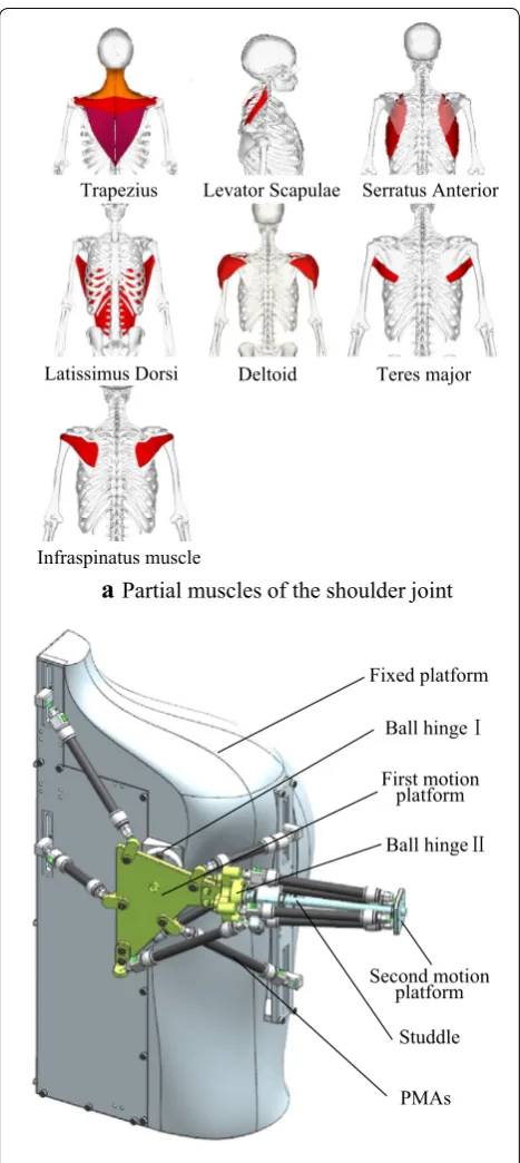 Figure 1 Structural design of the shoulder joint