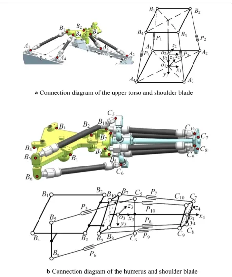 Figure 2 Simplified mechanism and coordinate systems of the shoulder joint