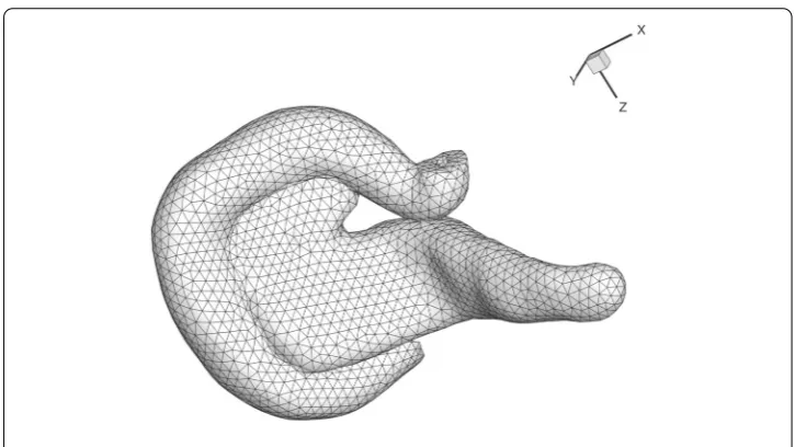 Fig. 8 Finite element mesh for the pancreas and duodenum