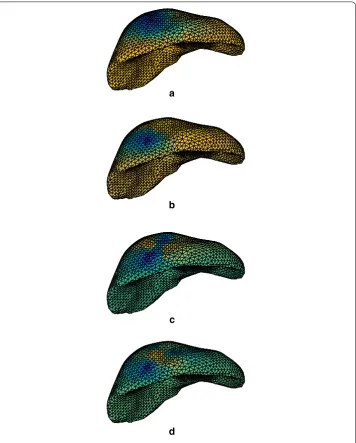 Fig. 8 First four spatial modes of the liver problem, Xk(x), k = 1, . . . , 4