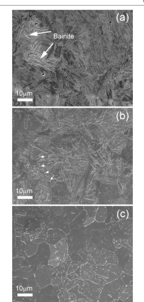 24FIGURESFig. 2 SEM micrograph of P9 in different conditions: a) as normalized b) as normalized and tempered andc) ex-service