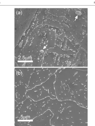 26FIGURESFig. 4 SEM micrographs of precipitates for a) as tempered P9 and b) service exposed P9