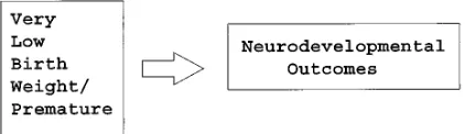 Fig 1. Conceptualization of current follow-up studies.