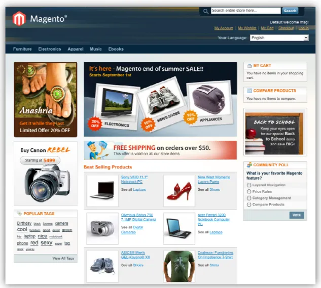 Figure 1. A sample Magento store created using free sample data available online.