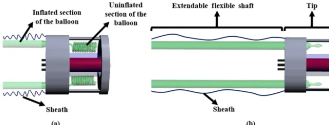 Figure 2. Schematic representation of the robot and the inﬂation process. (a) Uninﬂated robot in the initial condition, (b) inﬂated robot.