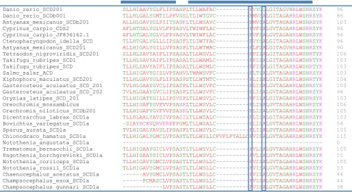 Figure 12 Alignment of partial SCD1b sequences from Antarctic and non-Antarctic fish species Residues in SCD1b  isoform which are critical determinants of the substrate length of fatty acyl chain are boxed (tyrosine and alanine)