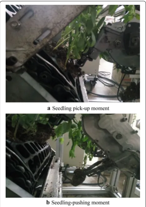 Table 1 Results of the seedling pick‑up test