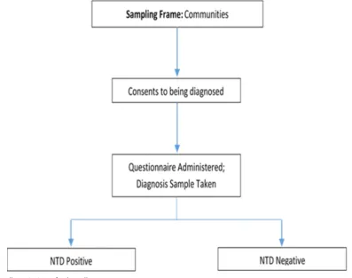 Figure 1 Sampling strategy for baseline survey.