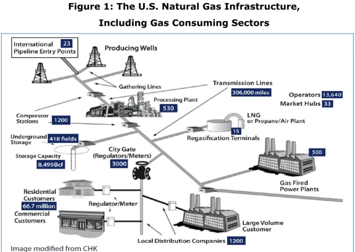 Figure 1: The U.S. Natural Gas Infrastructure,   Including Gas Consuming Sectors 