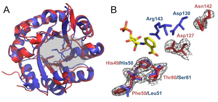 Figure 4.   