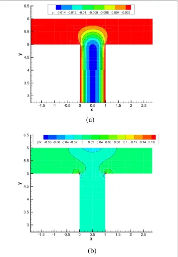 Figure 6 Contour plot of the y-component of the adjoint velocity u∗ and of the adjoint potential φ∗.(a) y-component u∗2 of adjoint velocity u∗