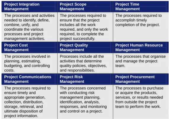 Figure 2F outlines the PMBOK knowledge areas used to assess the project.  