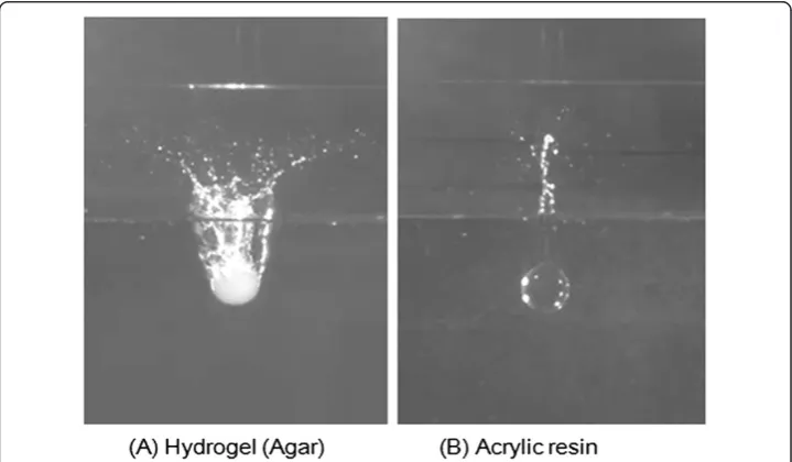 Figure 1 Experimental comparison of splash patterns between hydrogel and acrylic resin; Radius ofsphere = 10 mm and Impact velocity = 2.21 m/sec.
