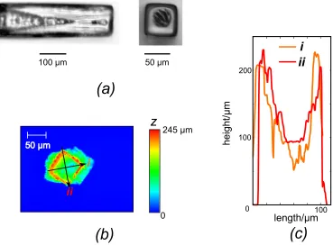 Figure 9: (a) Differential interference contrast optical microscope images of typical large salicylicacid crystals, showing hollow features in the (001) face, viewed from the side (left), and the top(right)