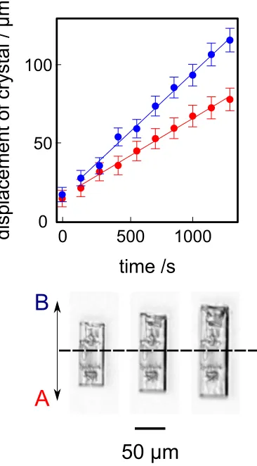 Figure 10: Plot showing the change in size of the crystal in both the A and B planes (top), from aparticular reference plane illustrated by the horizontal dashed line across the time sequence images(bottom)
