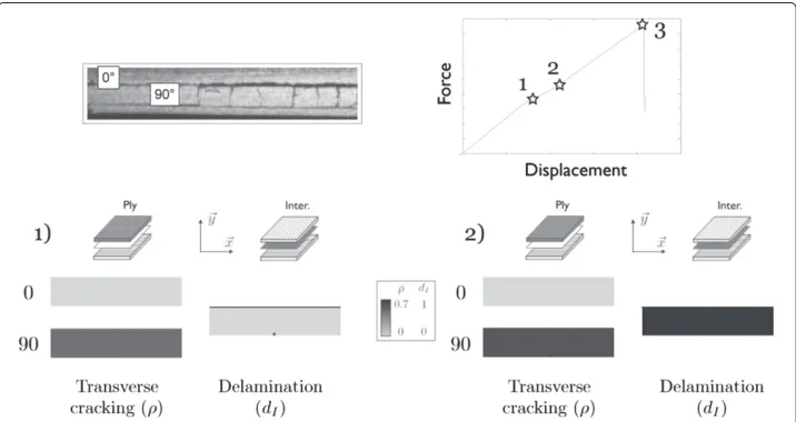 Figure 5 Experimental damage mechanisms, stress/strain curve and damage prediction in a cross-plytensile test [ 0/904]s with the new interface model.