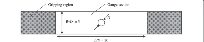 Figure 6 Geometry of the specimens.