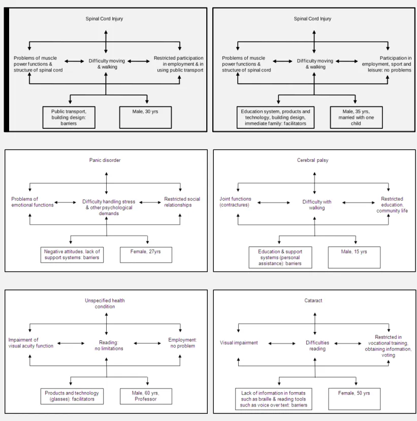 Figure 2: Examples of ICF use with individuals