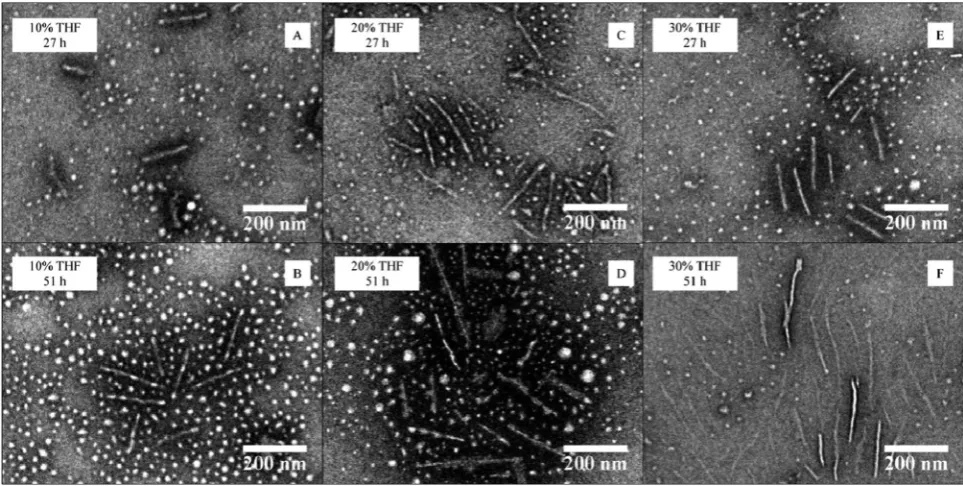 Fig. 3TEM data for the CDSA of P4AM213-b-P-L-LA38 (4) at 65 �C at diﬀerent THF contents (10–30 vol%) and heating times (27 or 51 hours).