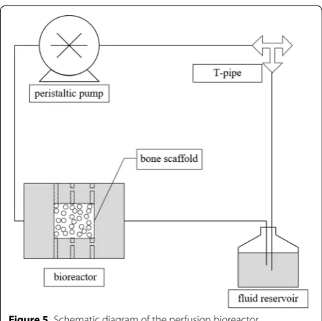 Figure 6 Eight observation areas on the surface of the bone scaffold
