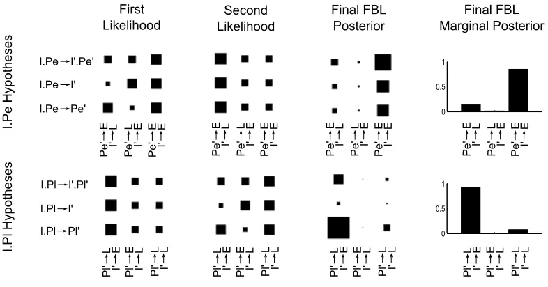 Figure 6: Illustration of how the effects of highlighting arise from Factorized Bayesian Learning(FBL)
