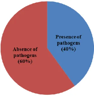 Figure 1 Percentage distribution for primary isolation of causative agents 