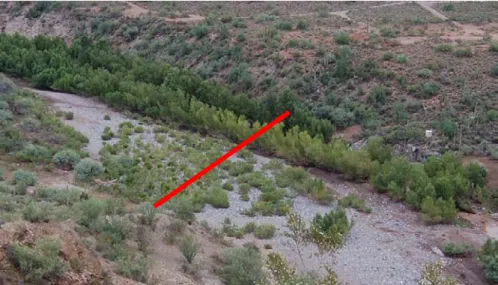 Figure 2. Step 2 of the field verification process: aerial view of a selected cross  section (red line)