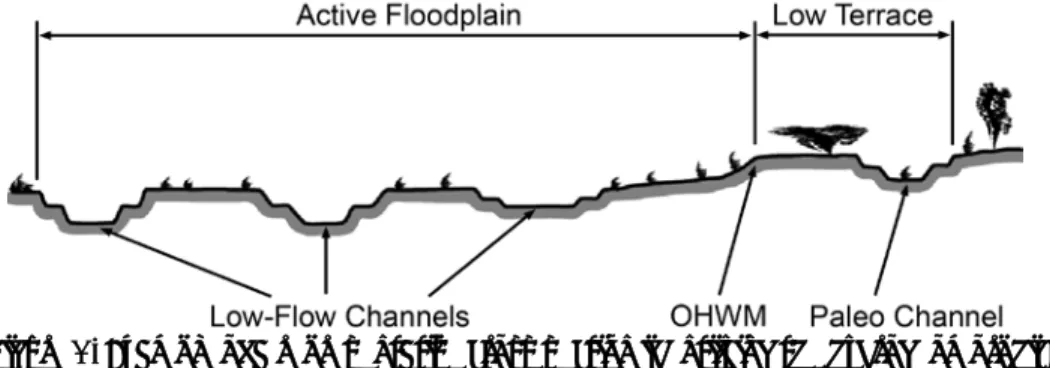 Figure 1. Example of a representative cross section identifying the hydrogeomorphic  floodplain units in intermittent and ephemeral channels