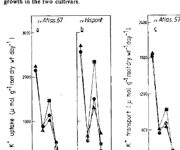 Fig. 1:  Rate of uptake by Plant (0 & b) and shoot (c & d) of K+ ions in the two rate of transport barley cultivars