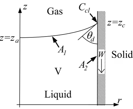 Figure 2: Illustration showing the computational domain for ﬂow through a capillary with the bulk domain Vsurface , liquid-gas free A1, liquid-solid surface A2 and contact line Ccl all indicated.