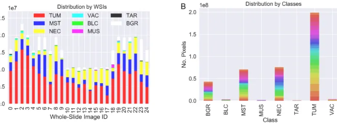 Figure 5:  Two visualizations of the dataset distribution focused on the contribution from each WSI (A) and the class distribution (B)