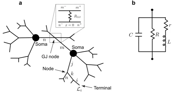Fig. 1 a A network of two cells connected by a gap junction (GJ). b An ‘LRC’ circuit modelling theresonant cell membrane