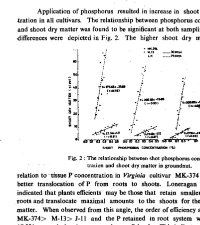 Fig. 2 : The relationship between shot phosphorus concen­tration and shoot dry matter in groundnut