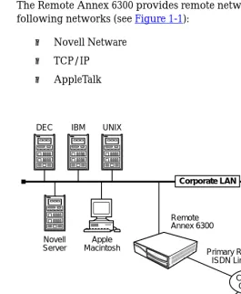 Figure 1-1. The Remote Annex 6300 as a Remote Access Server
