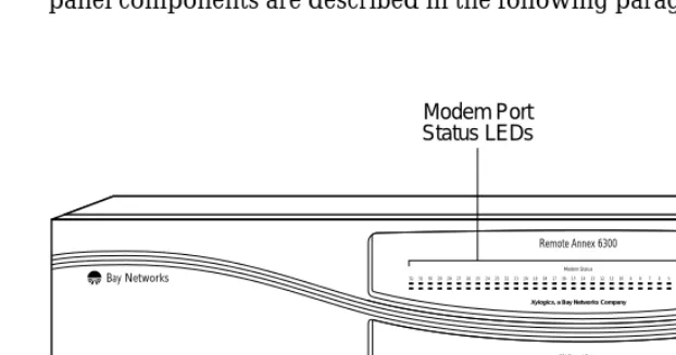 Figure 1-3. Remote Annex 6300 Front Panel
