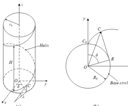 Figure 4. Principal curves of worm wheel. (a) Geometry of wormwheel surface. (b) Involute curve of worm wheel.
