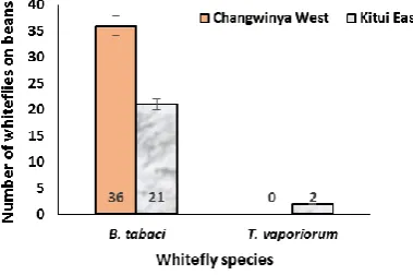 Figure 2 Comparative whitefly species diversity and abundance in Changwithya West and Kitui East Wards 