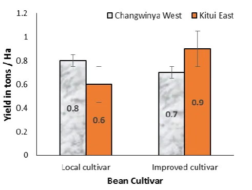 Figure 5 Bean varietal yield difference at two different wards in Central Kitui County 2016-17 