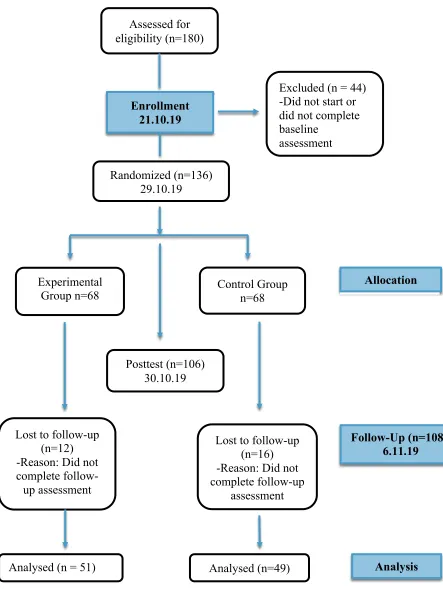 Figure 2. Flow-chart of participants in the RCT mindset study  