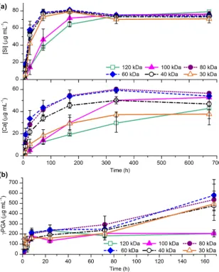 Fig. 7. SEM images of 40 wt.% 120 kDa cCaPGA hybrid (a) before immersion, (b) after 3 days (2 regions) and (c) 2 weeks immersion in Tris buffer solution