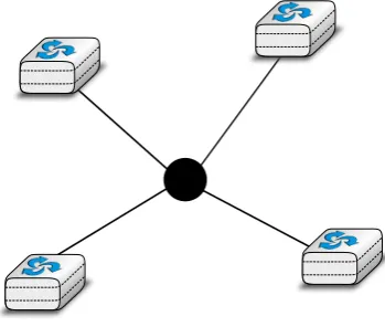 Figure 2.5: A network organised as a Star